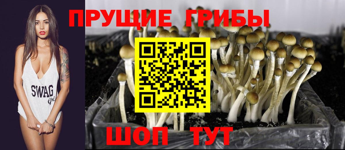 Канск  Галлюциногенные грибы ЛСД  где продают   Вход с VPN 